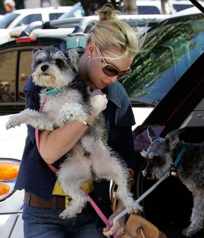 Кэтрин Хейгл с собакой