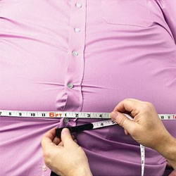 Обнаружен ген, отвечающий за ожирение