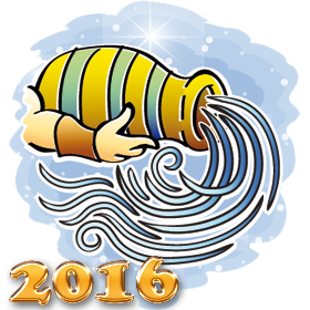 Гороскоп на 2016 год - Водолей