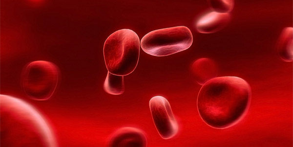 Низкий гемоглобин: как восполнить дефицит железа