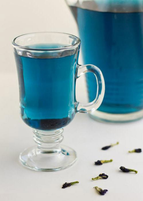 О полезных свойствах синего чая