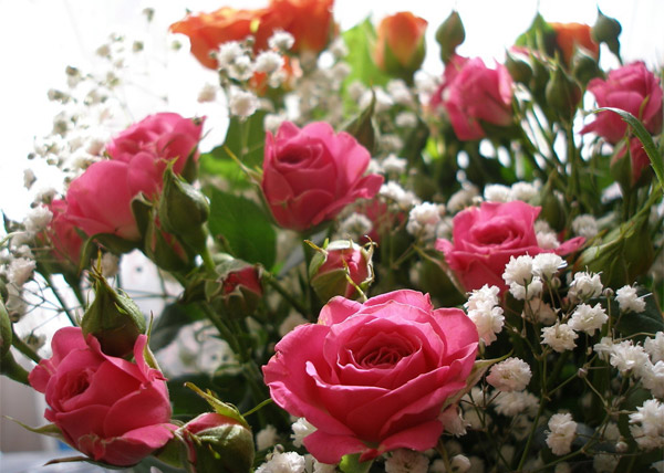Какие цветы дарят на День святого Валентина