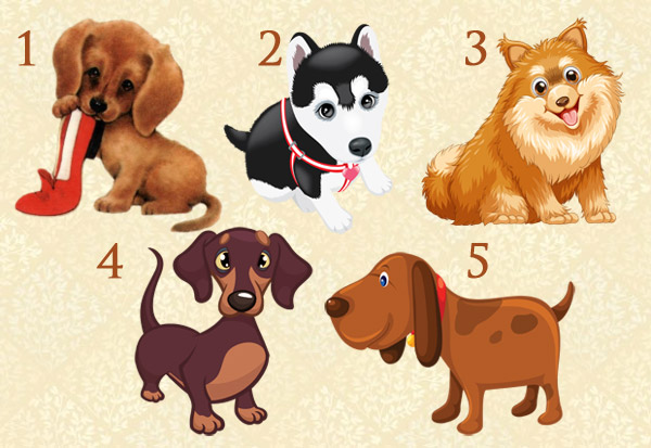 Тест: Выбери собак-талисман и загадай желание