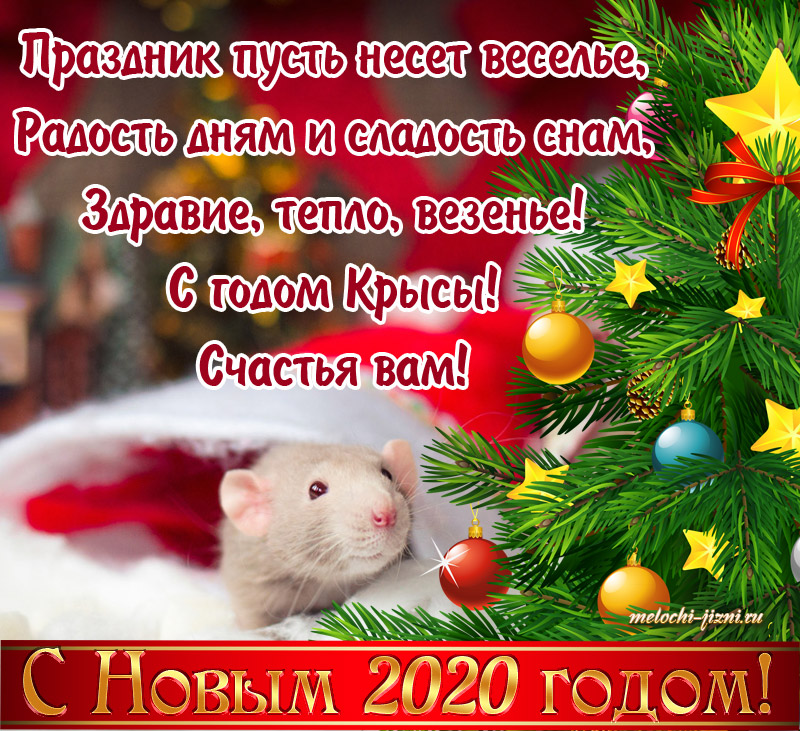 Бесплатные открытки с Новым годом Крысы