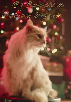 Видео поздравление со Старым Новым годом