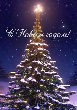 Поздравление с Новым годом видео открытка