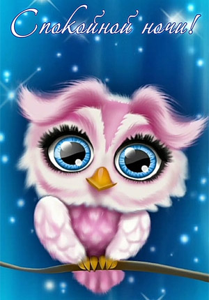 Спокойной ночи видео прикольное