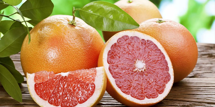 Австрийские ученые открыли 