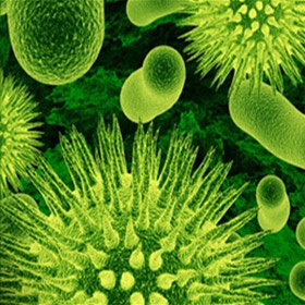 Супербактерии могут сделать инфекции неизлечимыми заболеваниями