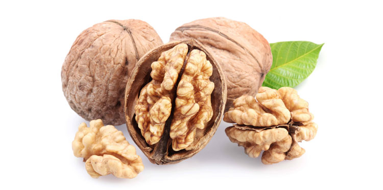 Грецкие орехи помогают предотвратить рак простаты