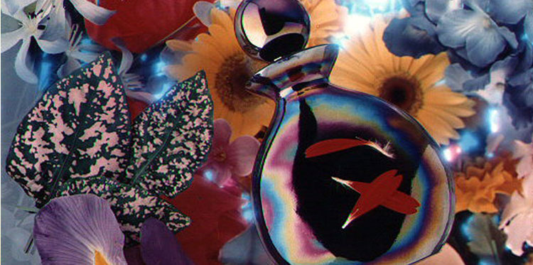 Как выбирать духи в подарок девушке?