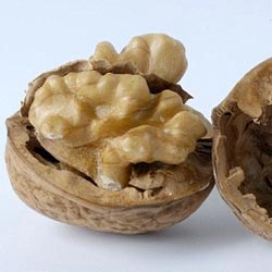 Грецкие орехи помогают предотвратить рак простаты