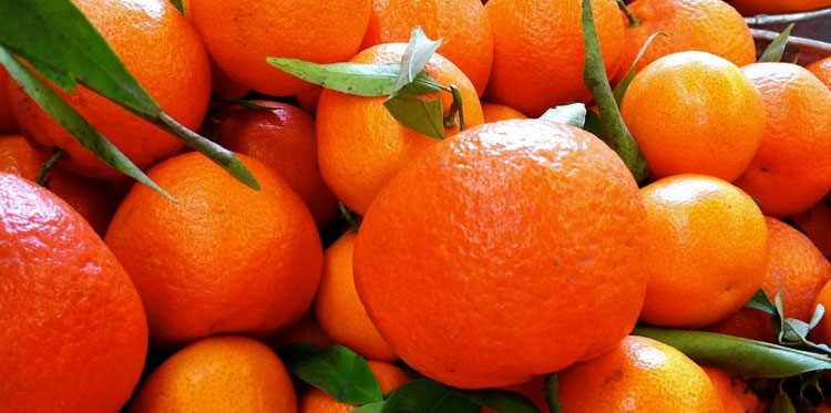 Мандарины спасут от ожирения