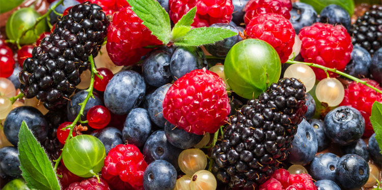 Раскрыт секрет быстрого похудения