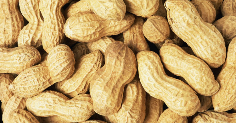 Арахис вовсе не орех!