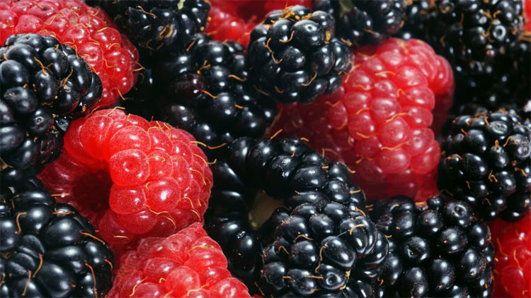 Forbes назвал самые полезные продукты