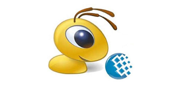 Обналичивание WMZ