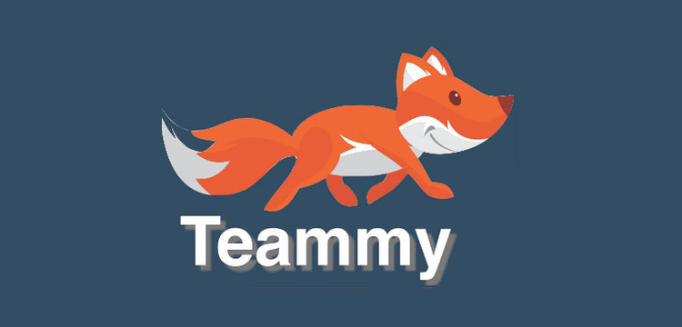 Teammy – новый взгляд на социальную сеть