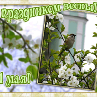 открытки 1 мая праздник весны