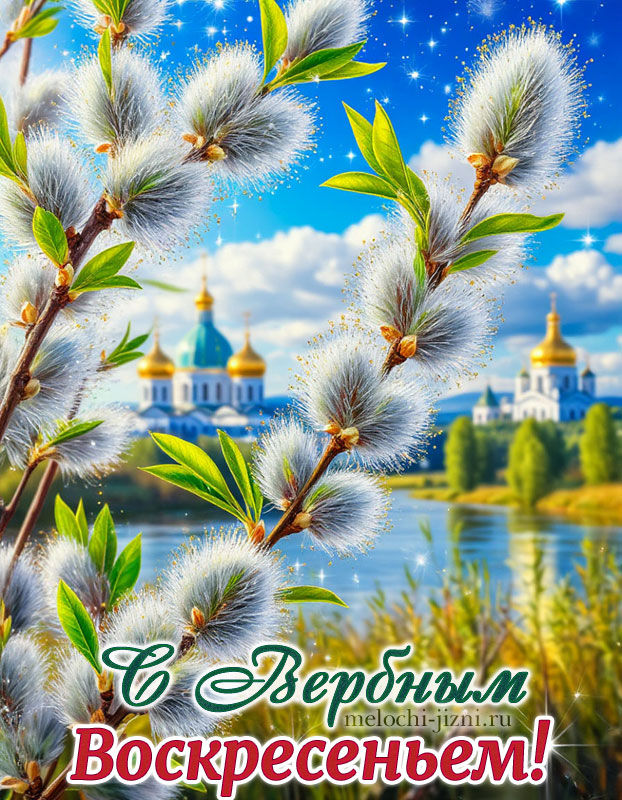 картинки с вербой на вербное воскресенье