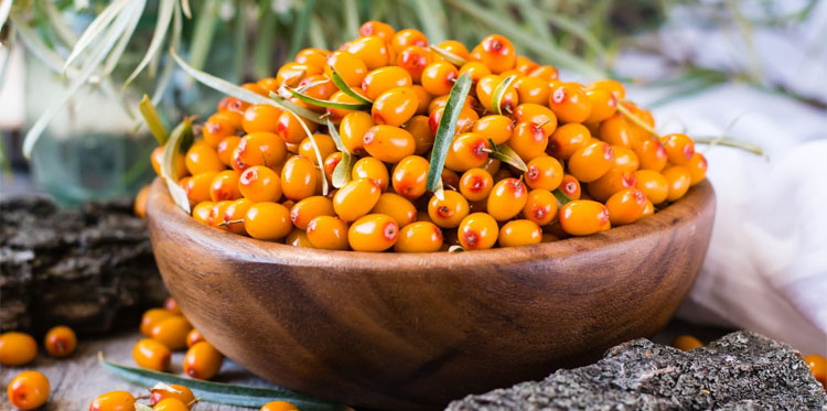 Облепиха: королева витаминов