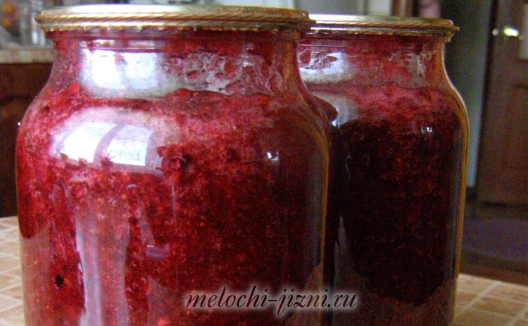 Брусника с сахаром на зиму