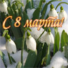 Сценарий веселого 8 марта "Тамада жжет"