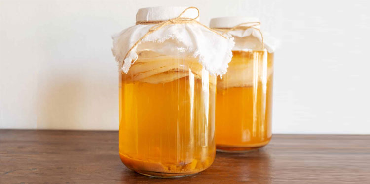 Чайный гриб. Полезные свойства и противопоказания