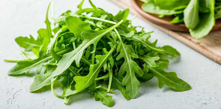Рукола. Полезные свойства