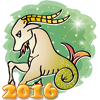 Гороскоп на 2016 год - Козерог