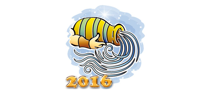 Гороскоп на 2016 год - Водолей
