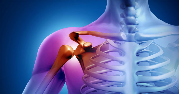 Как пройти процедуру МРТ плечевого сустава с помощью портала КлиникМос?