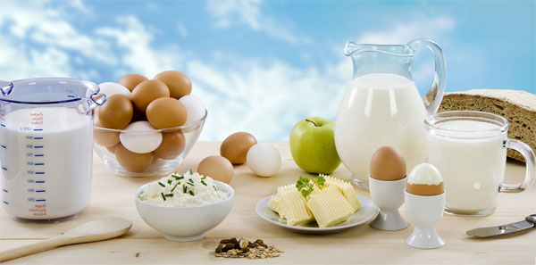 Как правильно хранить молочные продукты?