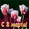 Прикольный сценарий 8 марта в коллективе
