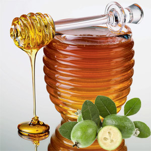 Фейхоа с медом: пополняем йодом запасы организма