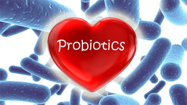 Механизм действия пробиотиков
