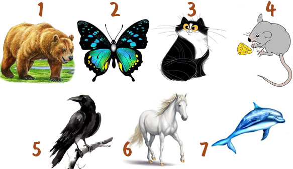 Каким животным вы бы хотели стать?