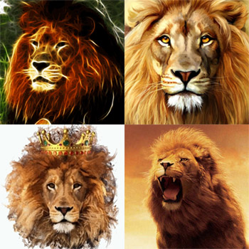 Тест: Выбери льва и узнай какой тебе мужчина нужен