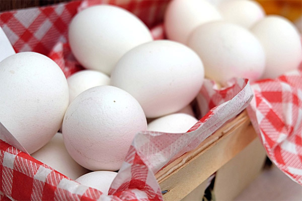 сколько можно хранить яйца без холодильника