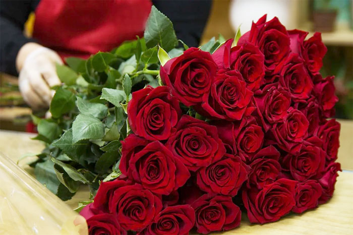 букет из 51 розы бордового цвета
