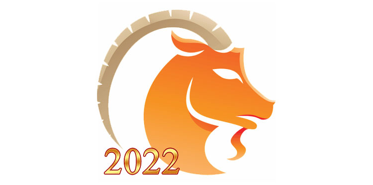 Гороскоп на 2022 год - Козерог