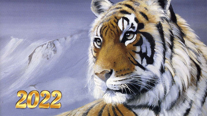 Год Тигра: как отпраздновать, в чем встречать, что готовить