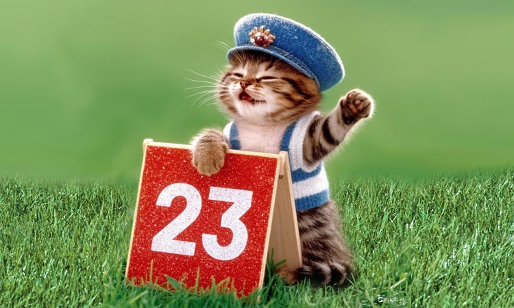 Сценарий с 23 февраля мужчинам с юмором