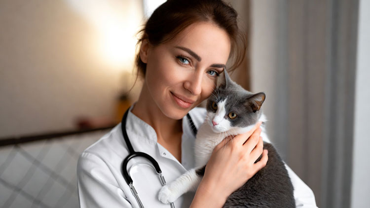 Ветеринар на дом: главные плюсы для здоровья питом...