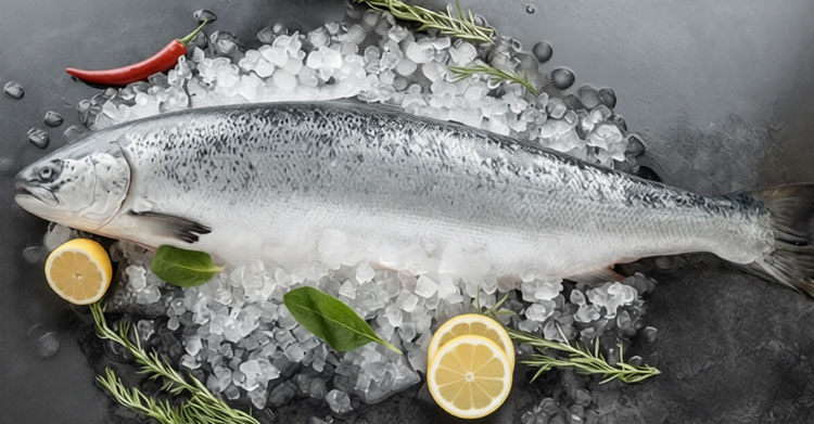 Лосось тушкой зимой: как с умом запастись полезным белком после праздников