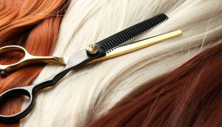 Как выбрать программы для повышения квалификации парикмахера