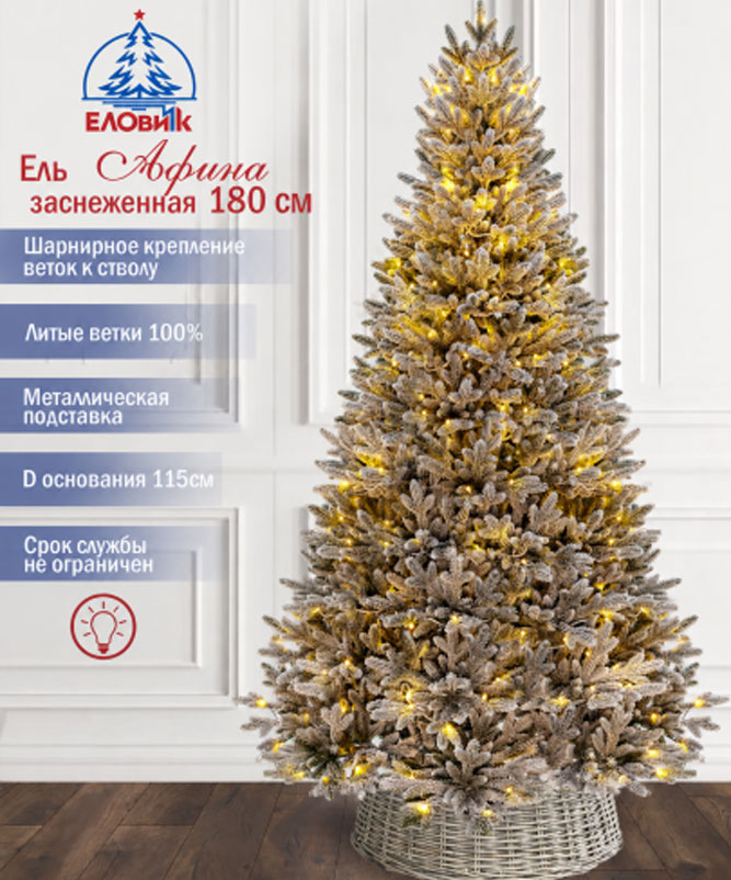 Узкая ель для магащина