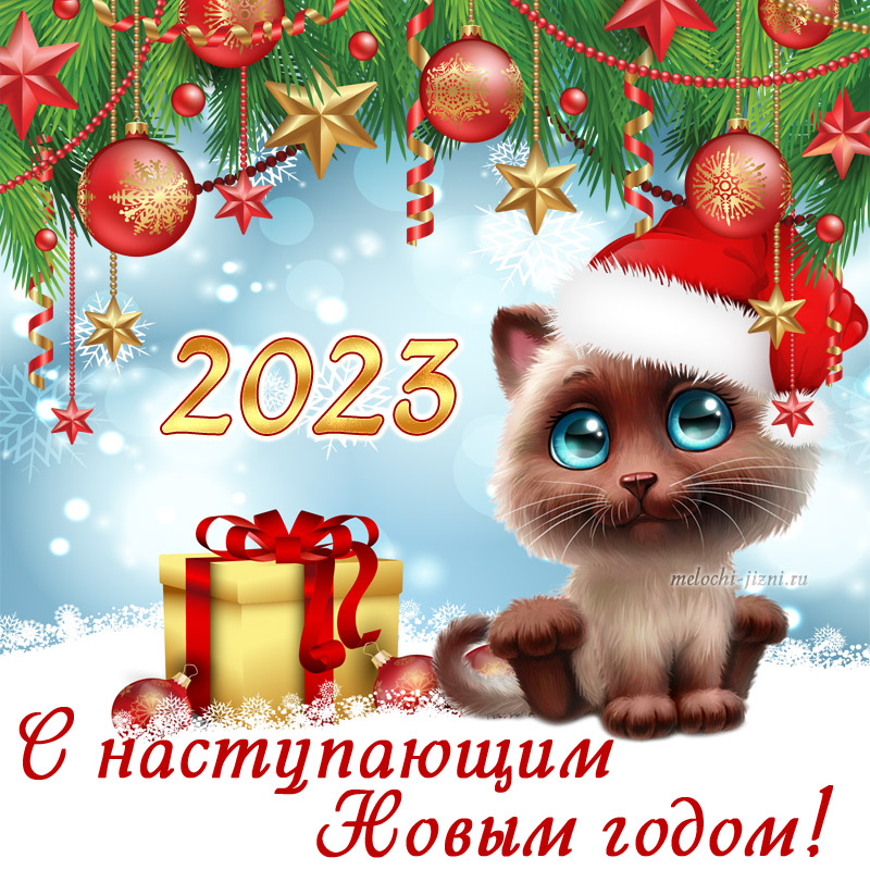 С наступающим новым 2023 картинки