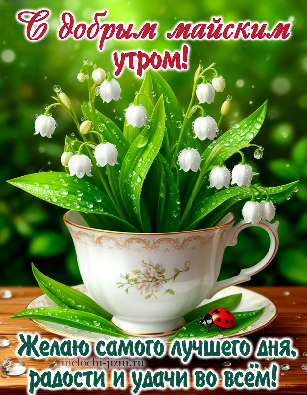 Доброе майское утро картинка пожелания красивые, желаю самого лучшего дня, радости и удачи во всем