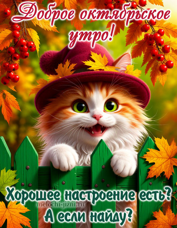 октябрьское доброе утро картинки красивые
